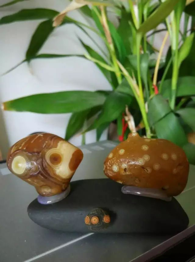 2.5_结果.jpg